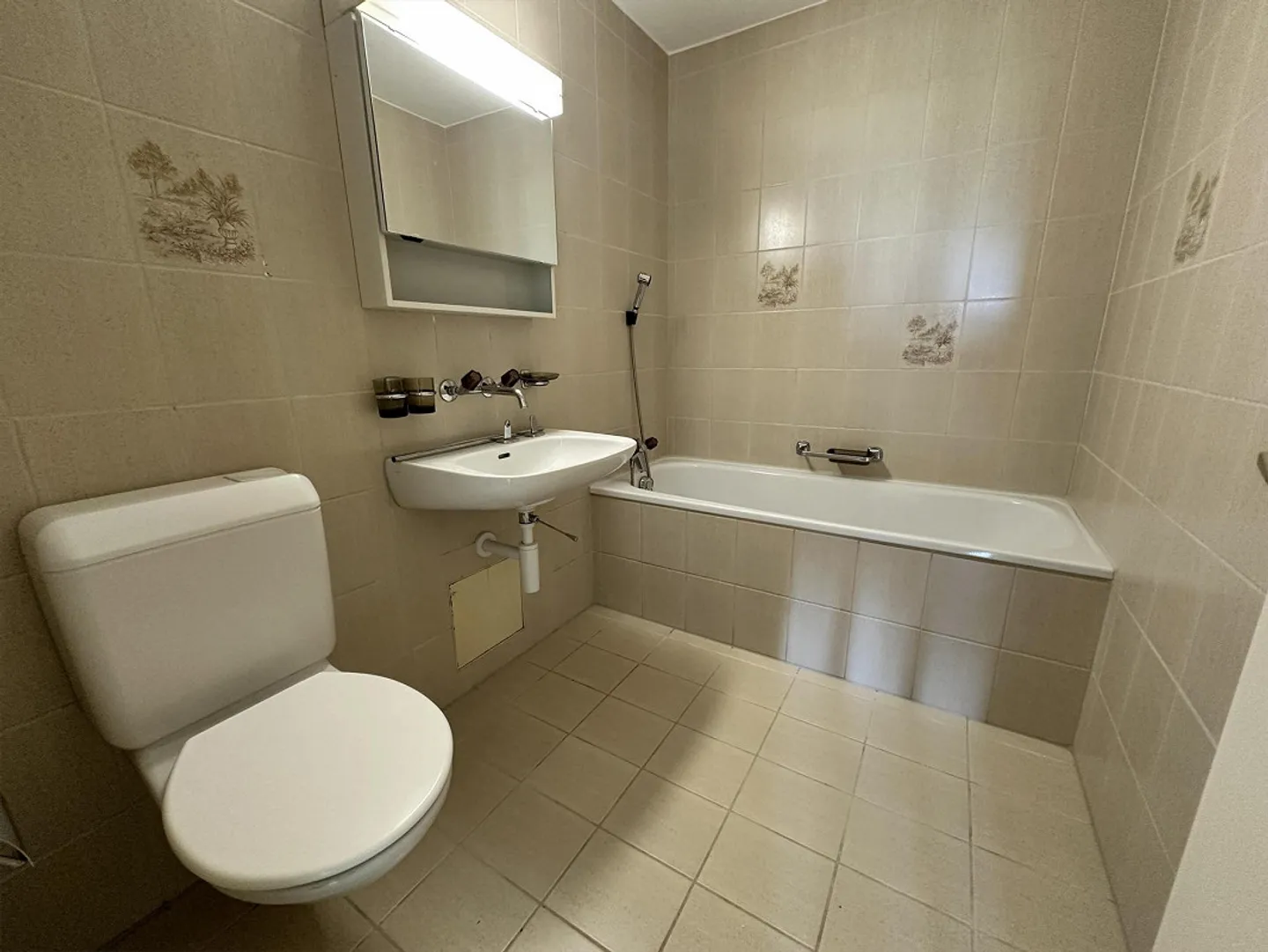 4.5 Room Apartment in Safenwil - Photo 11 of 13