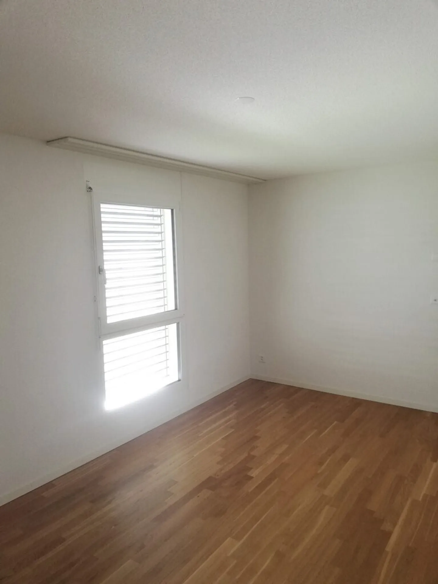 Your new home! - Photo 8 of 12