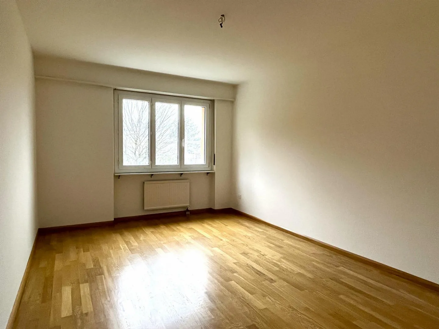 4.5-room apartment with a view in Balsthal - Photo 4 of 10