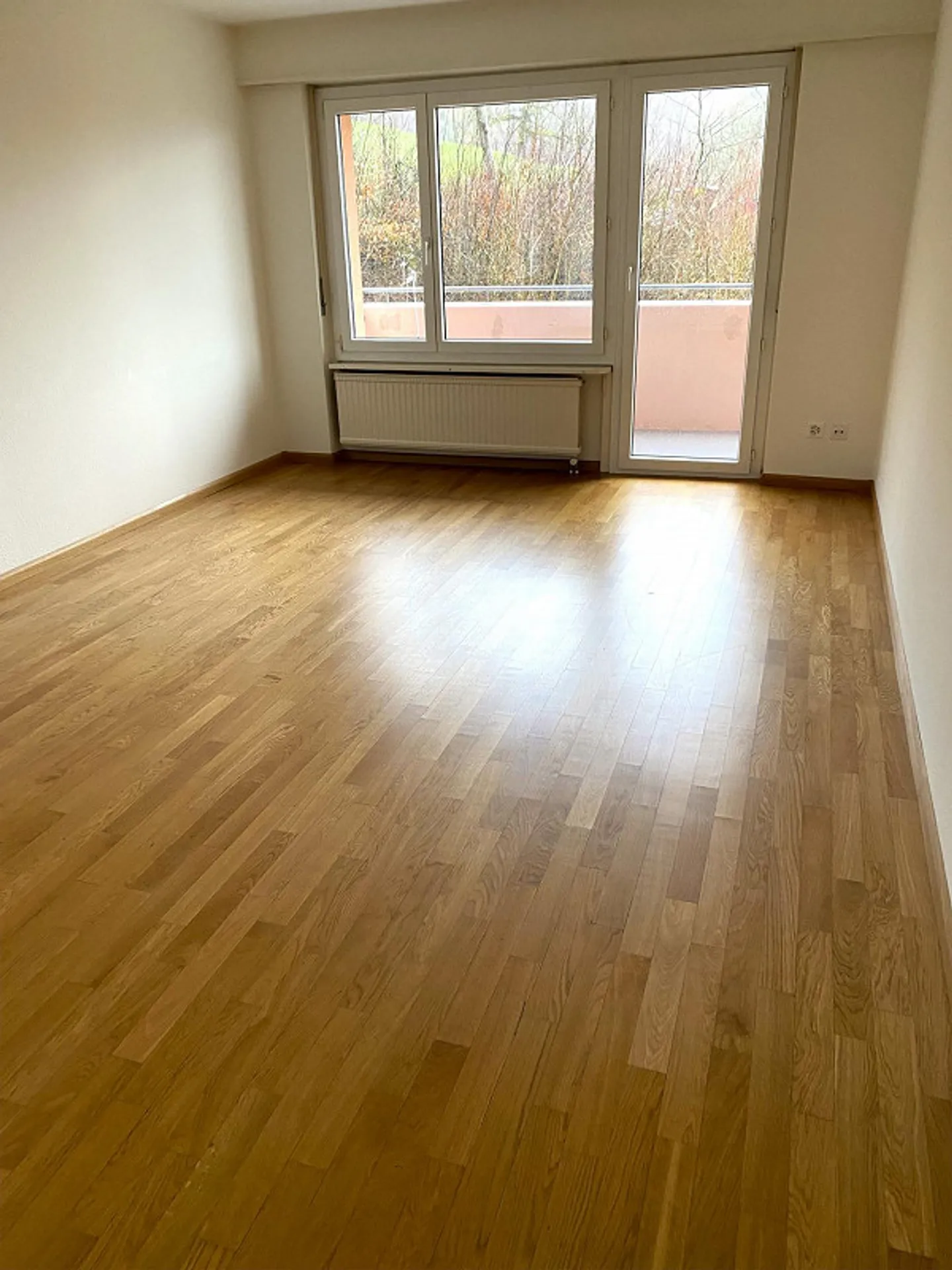 4.5-room apartment with a view in Balsthal - Photo 2 of 10