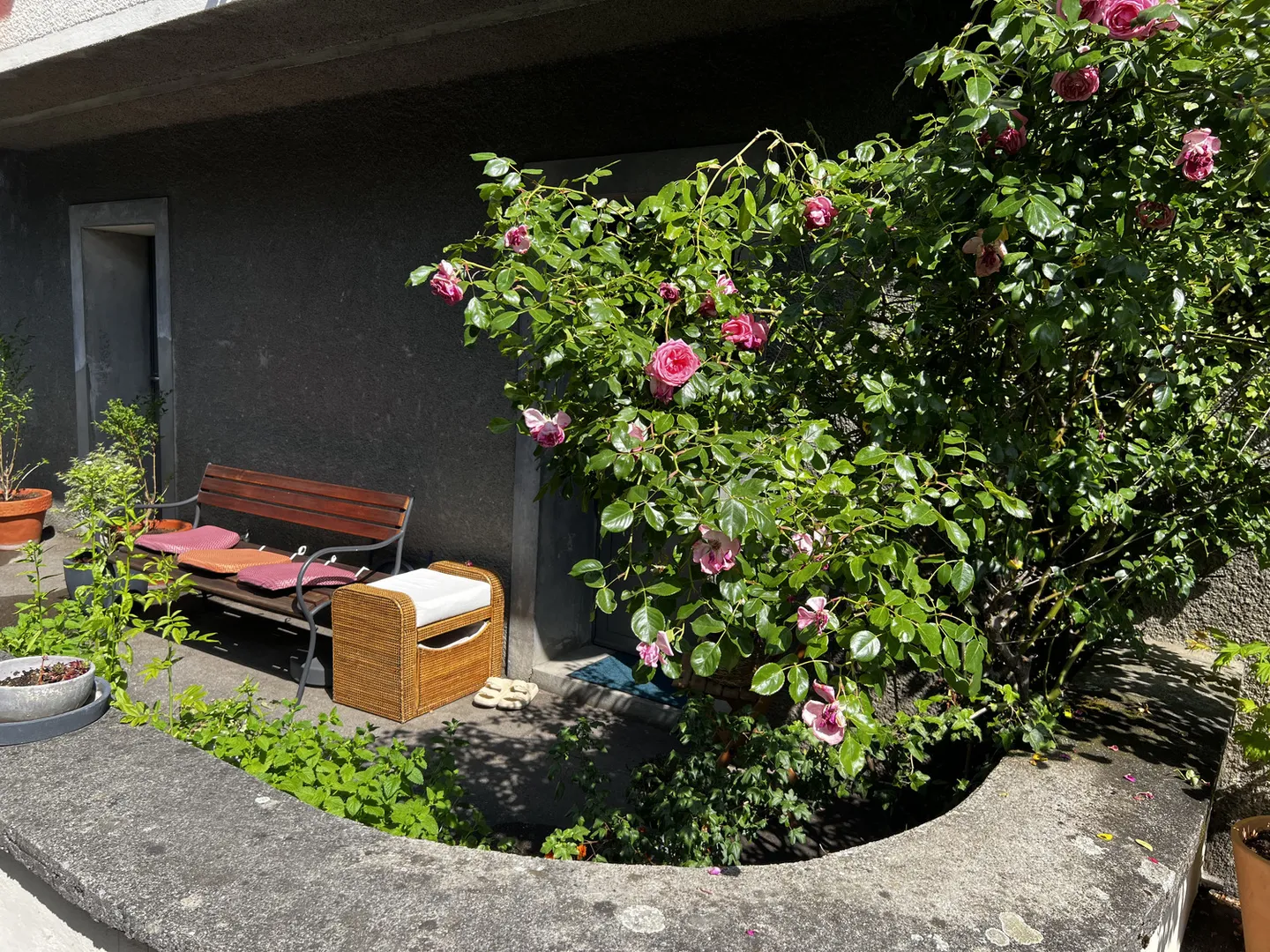 APPARTEMENT 2½ PIÈCES À BERNE - ALTENBERG, MEUBLÉ, TEMPORAIRE - Photo 12 sur 13