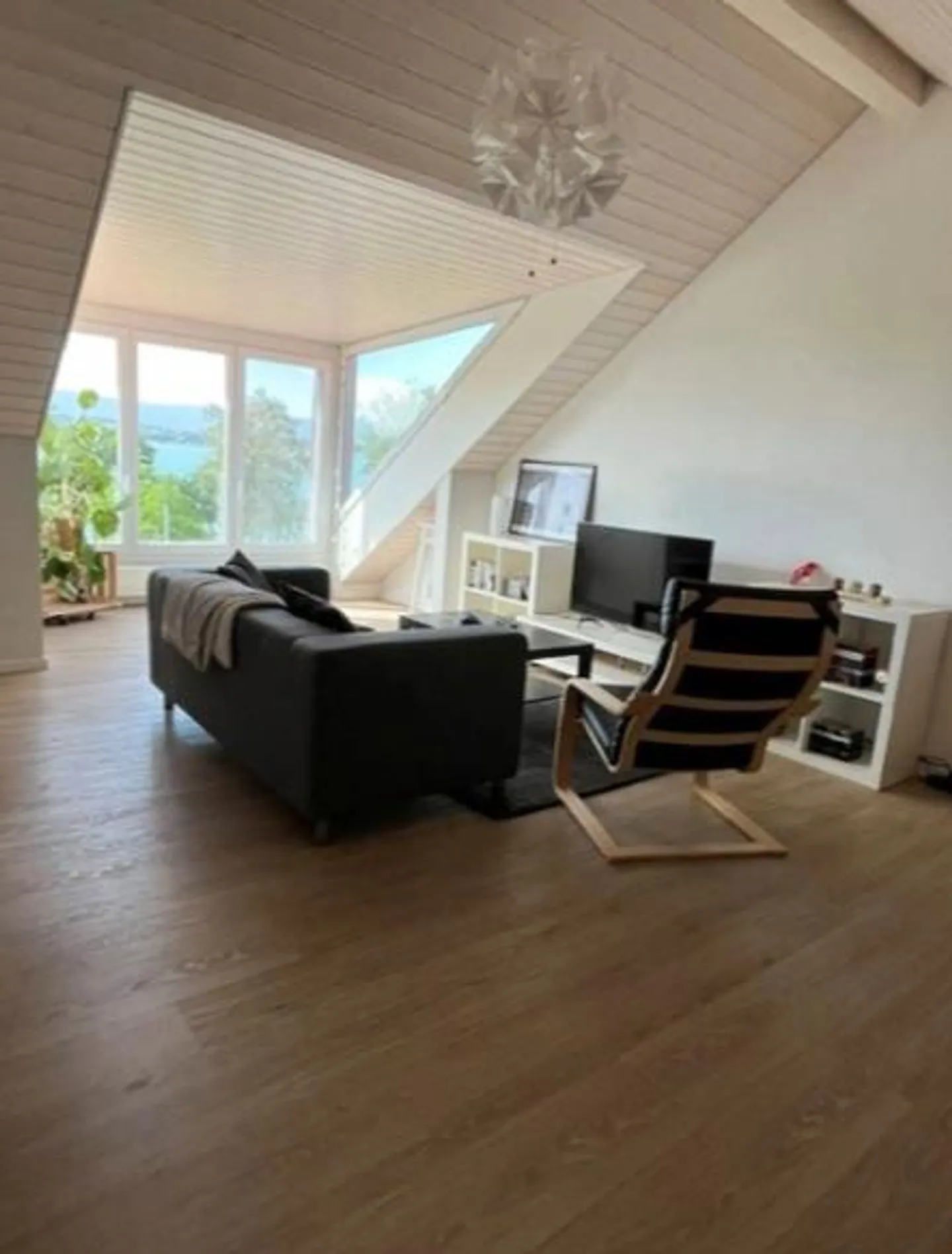 Dream apartment with lake view and park garden - Photo 3 of 11