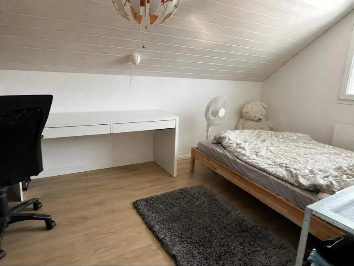 Dream apartment with lake view and park garden - Photo 6 of 11