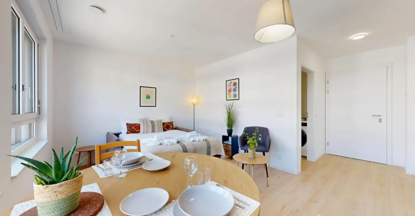 Charming Furnished Studio in Sion - Photo 2 of 12
