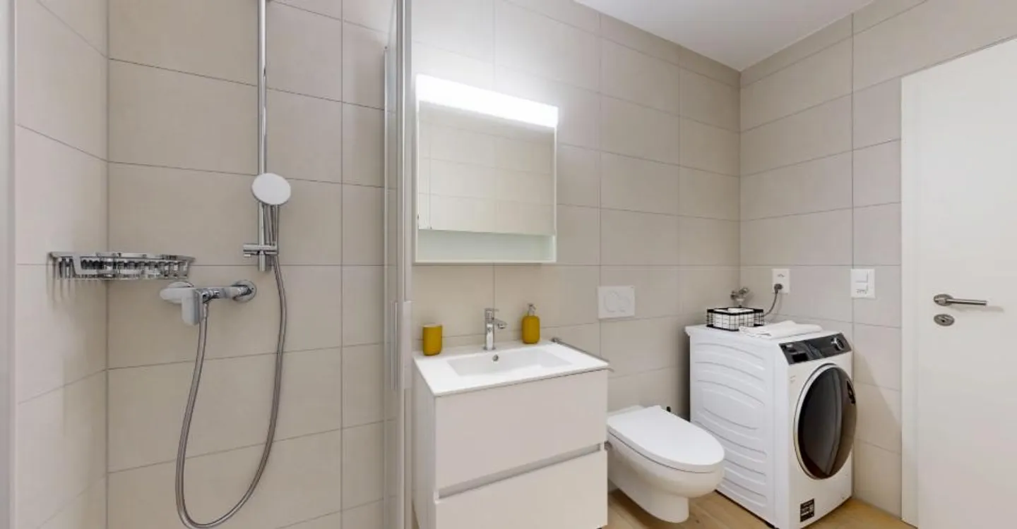 Charming Furnished Studio in Sion - Photo 3 of 12