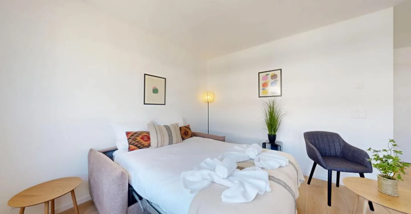 Charming Furnished Studio in Sion - Photo 4 of 12