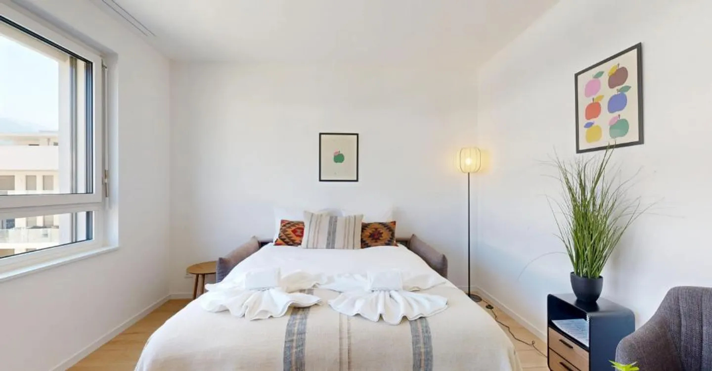 Charming Furnished Studio in Sion - Photo 5 of 12