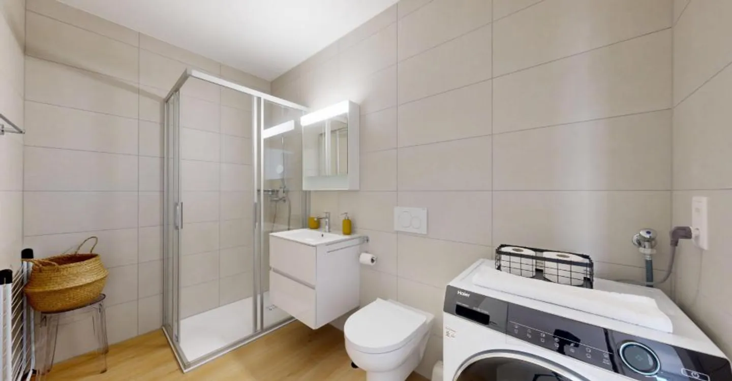 Charming Furnished Studio in Sion - Photo 9 of 12
