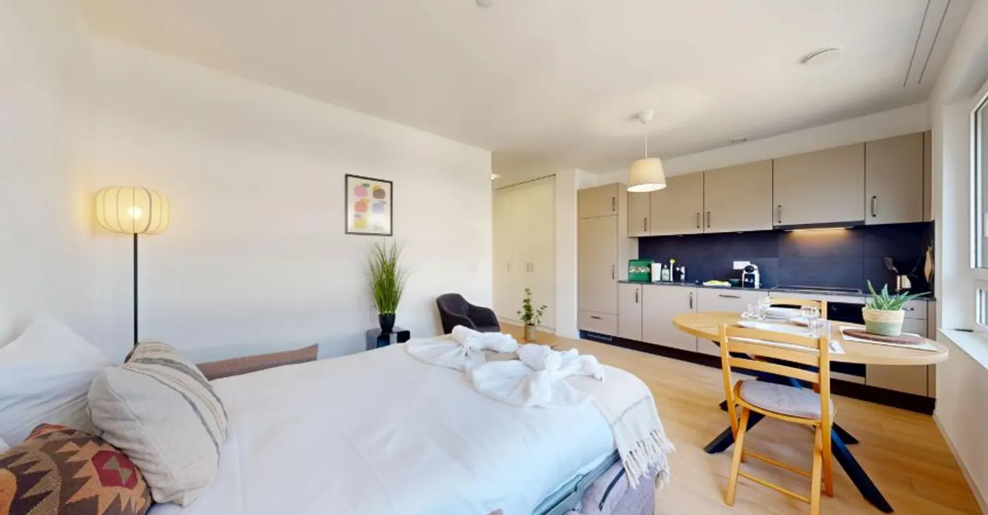 Charming Furnished Studio in Sion - Photo 10 of 12