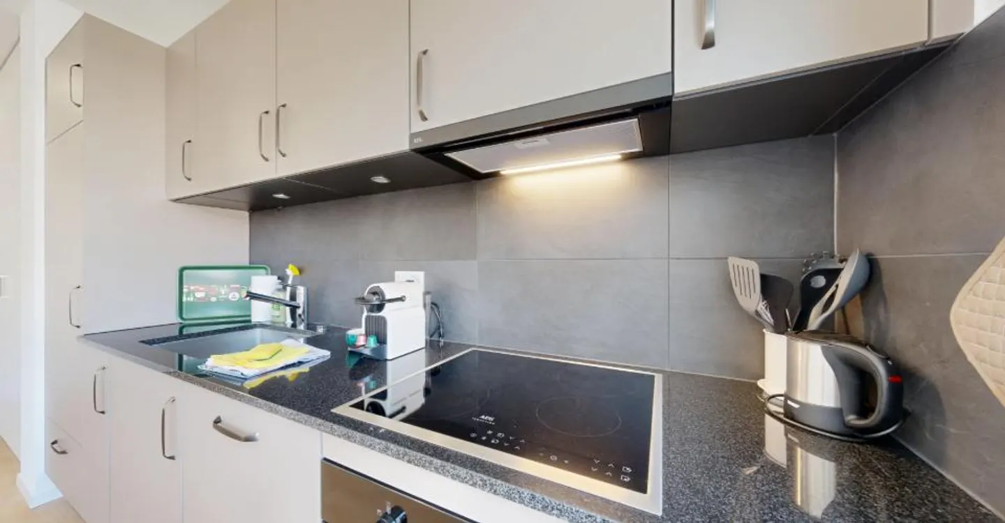Charming Furnished Studio in Sion - Photo 11 of 12