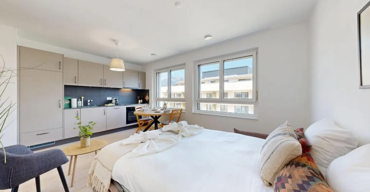 Charming Furnished Studio in Sion - Photo 12 of 12