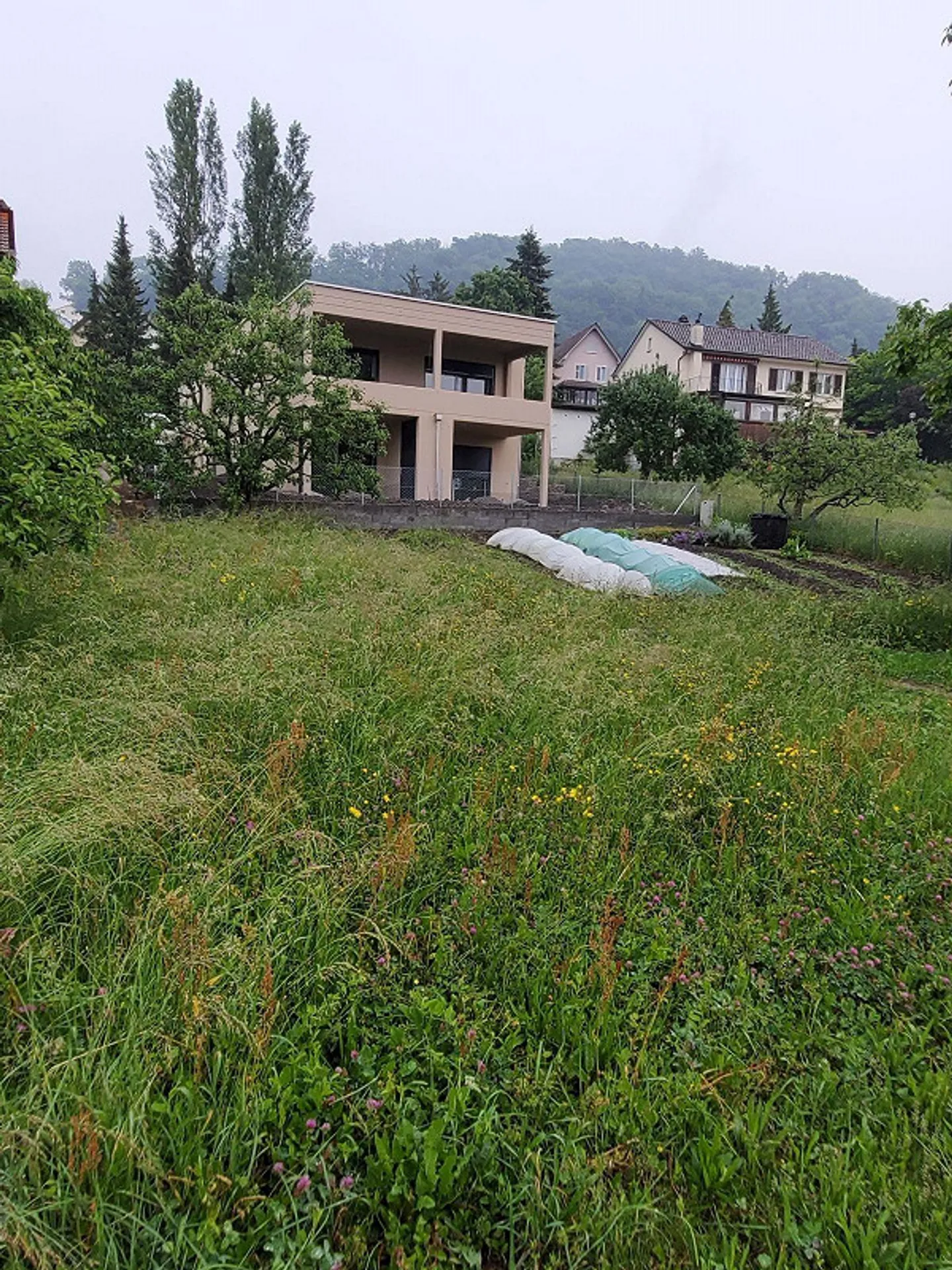 Appartamento luminoso e spazioso di 3½ locali in una posizione tranquilla - Foto 1 di 2