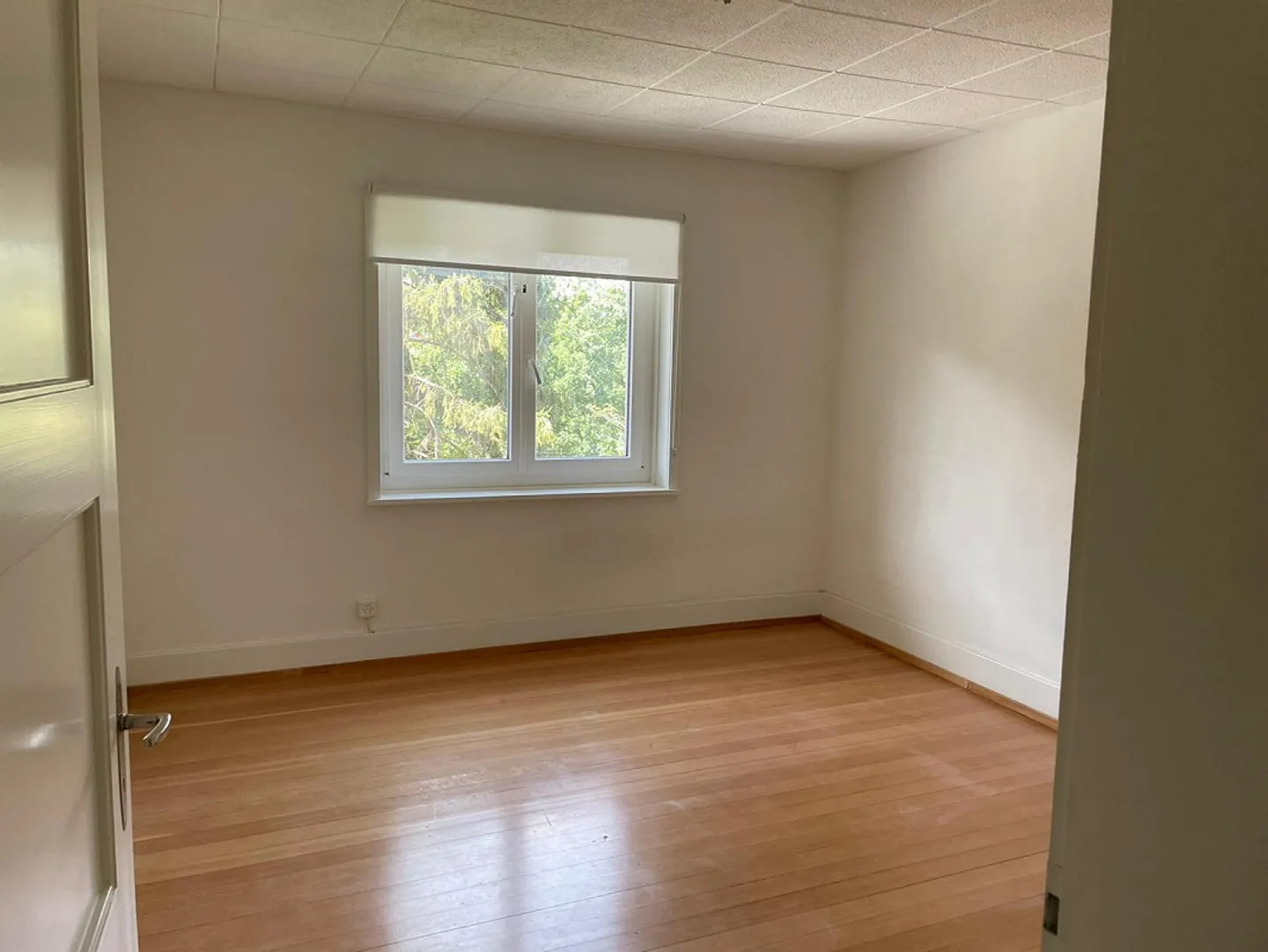 4-room old building apartment with large terrace in a sunny and central location - Photo 3 of 7