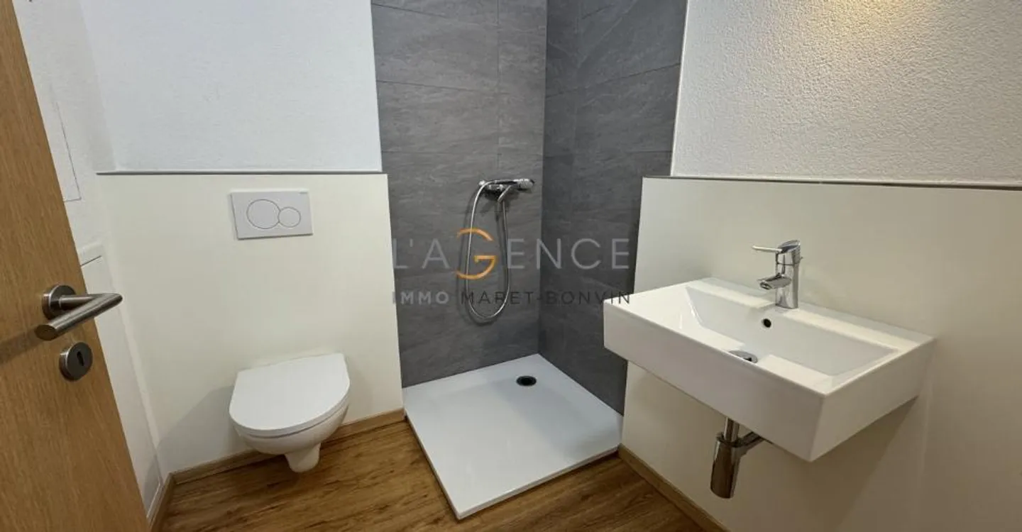 Espace Commercial à Savièse - Photo 4 sur 8