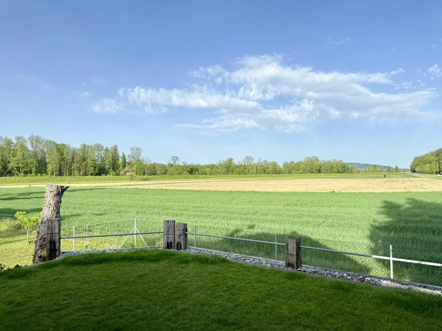 Large Single-Family House with Plenty of Surroundings near Frauenfeld - Photo 4 of 10