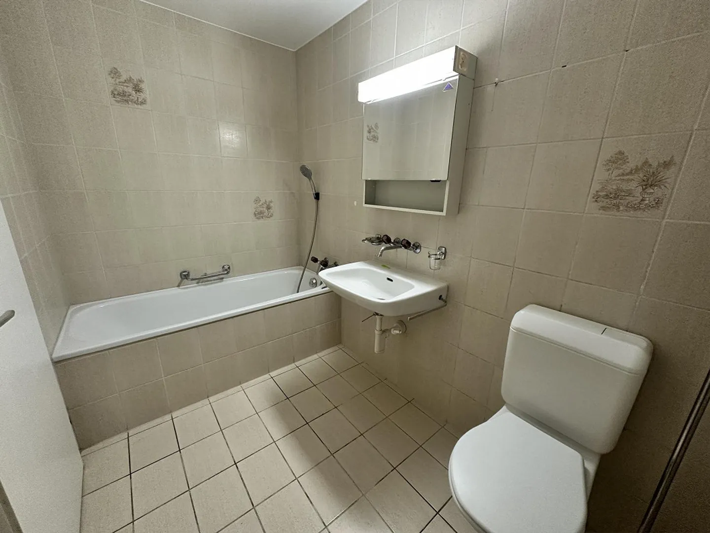 5.5 Room Apartment in Safenwil - Photo 12 of 13