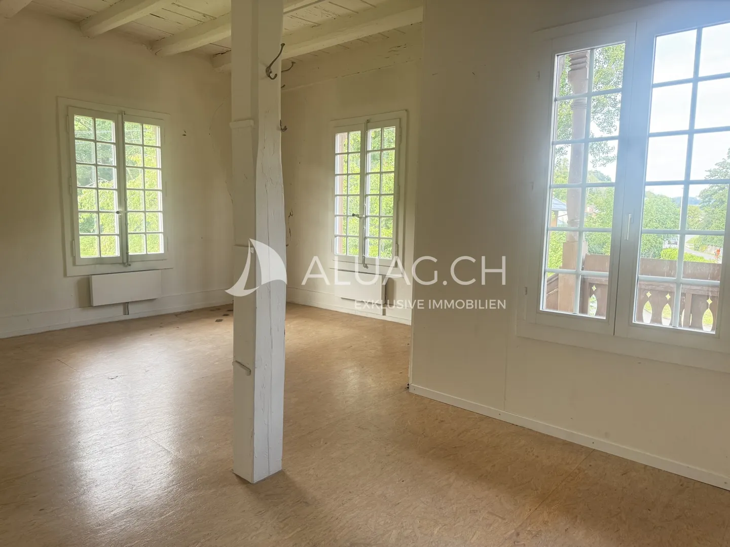 Unique Artist Residence by Lake Murten - Photo 5 of 12