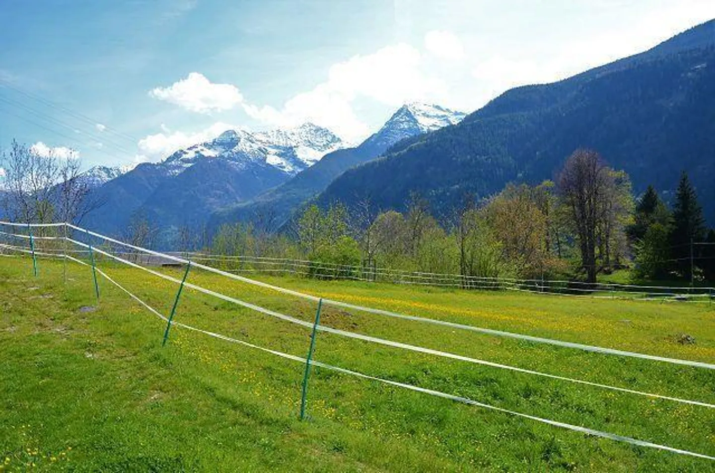 Peaceful Land Plot in Leventina - Photo 11 of 18