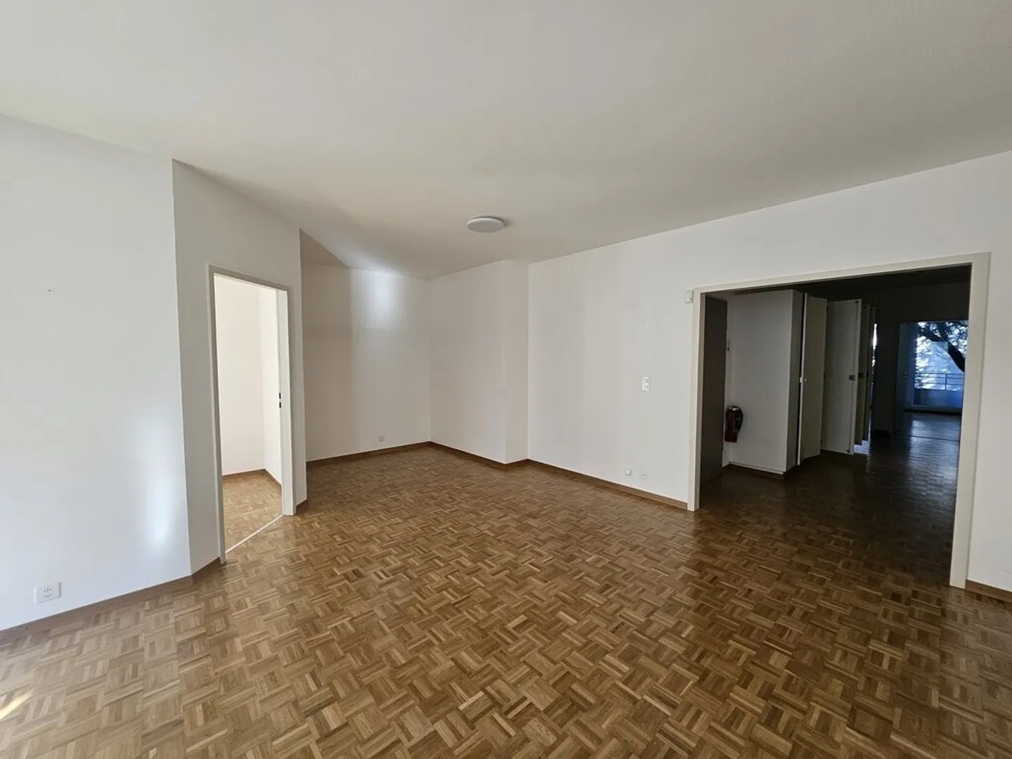 To seize! Magnificent apartment in Geneva! - Photo 3 of 9