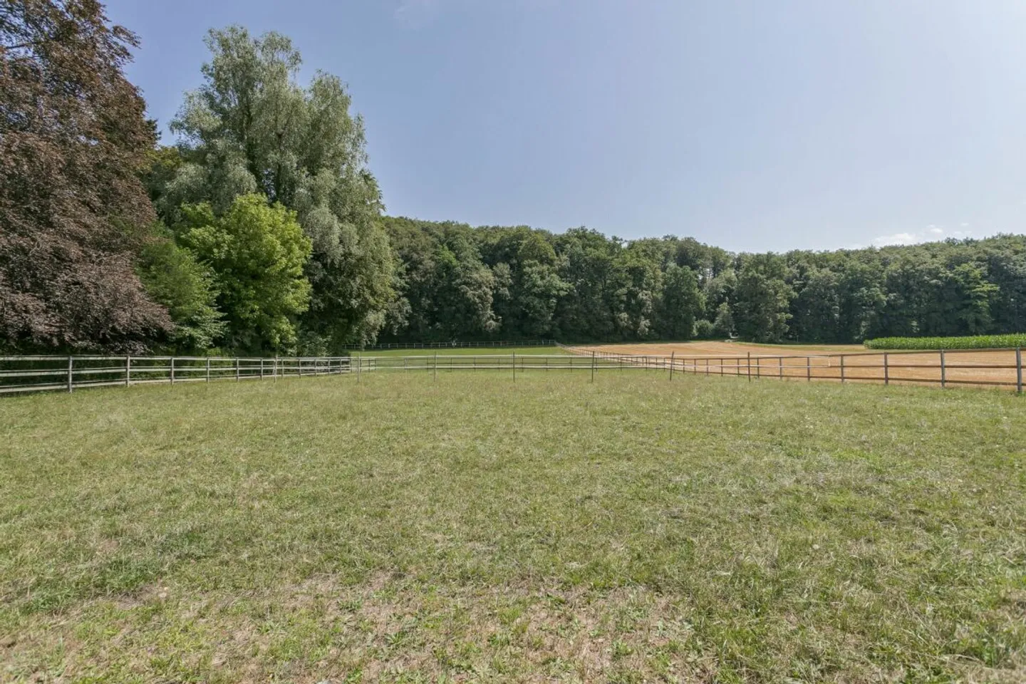 EQUESTRIAN PROPERTY WITH VILLA, HALL AND NEW SAND ARENA - Photo 10 of 18