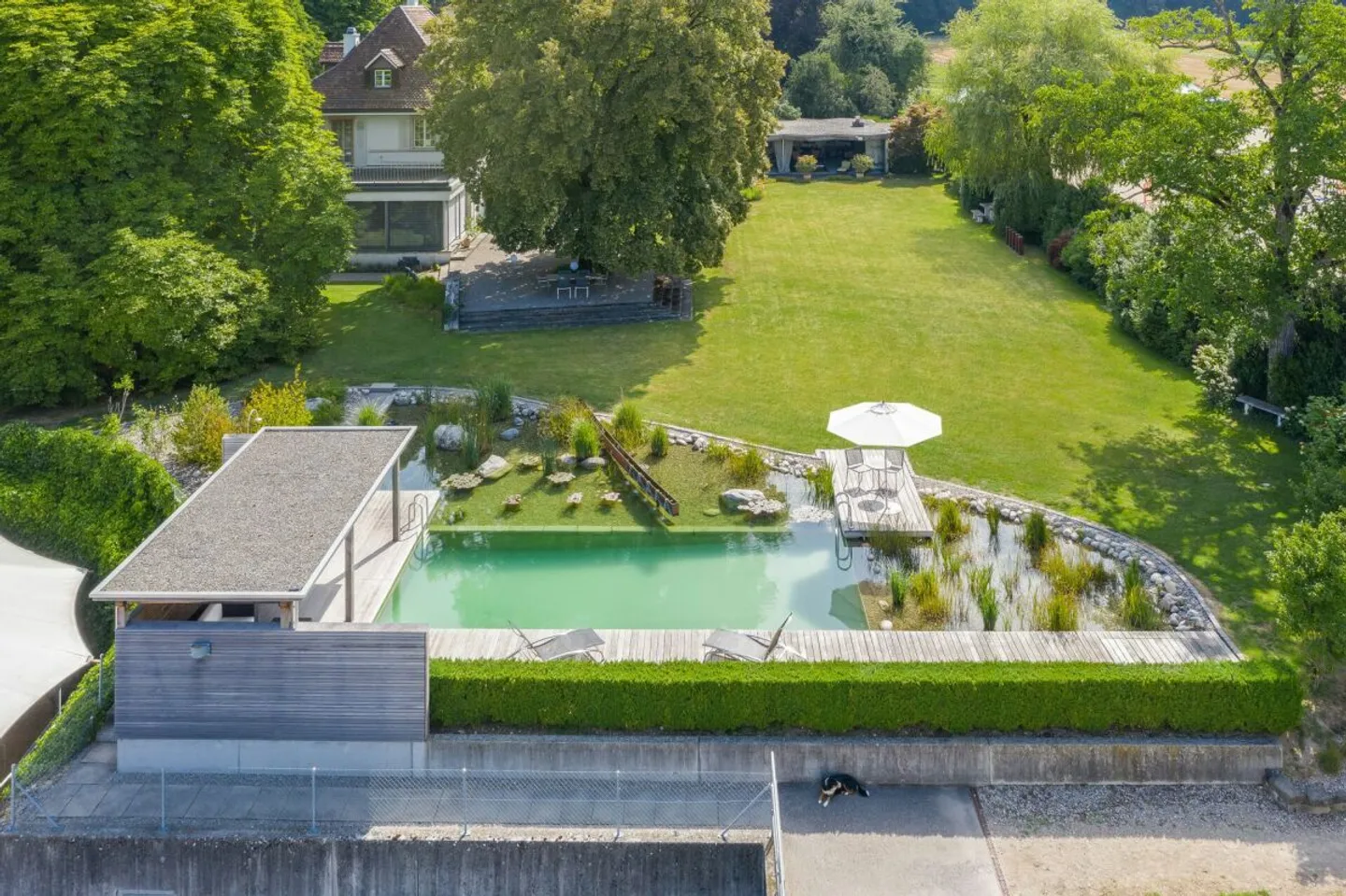 EQUESTRIAN PROPERTY WITH VILLA, HALL AND NEW SAND ARENA - Photo 14 of 18