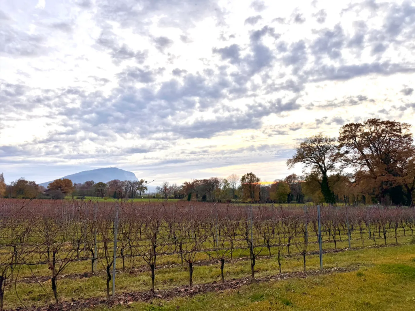 Villa for sale - Photo 4 of 4