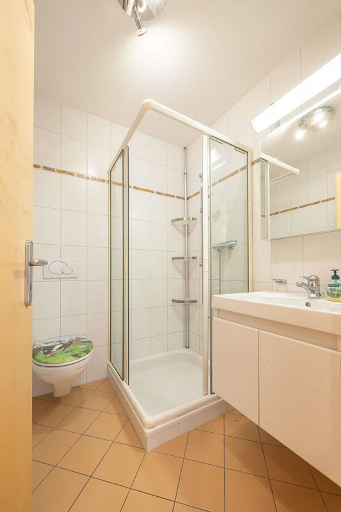 5 1/2-room apartment with large balcony and plenty of sun - Photo 11 of 14