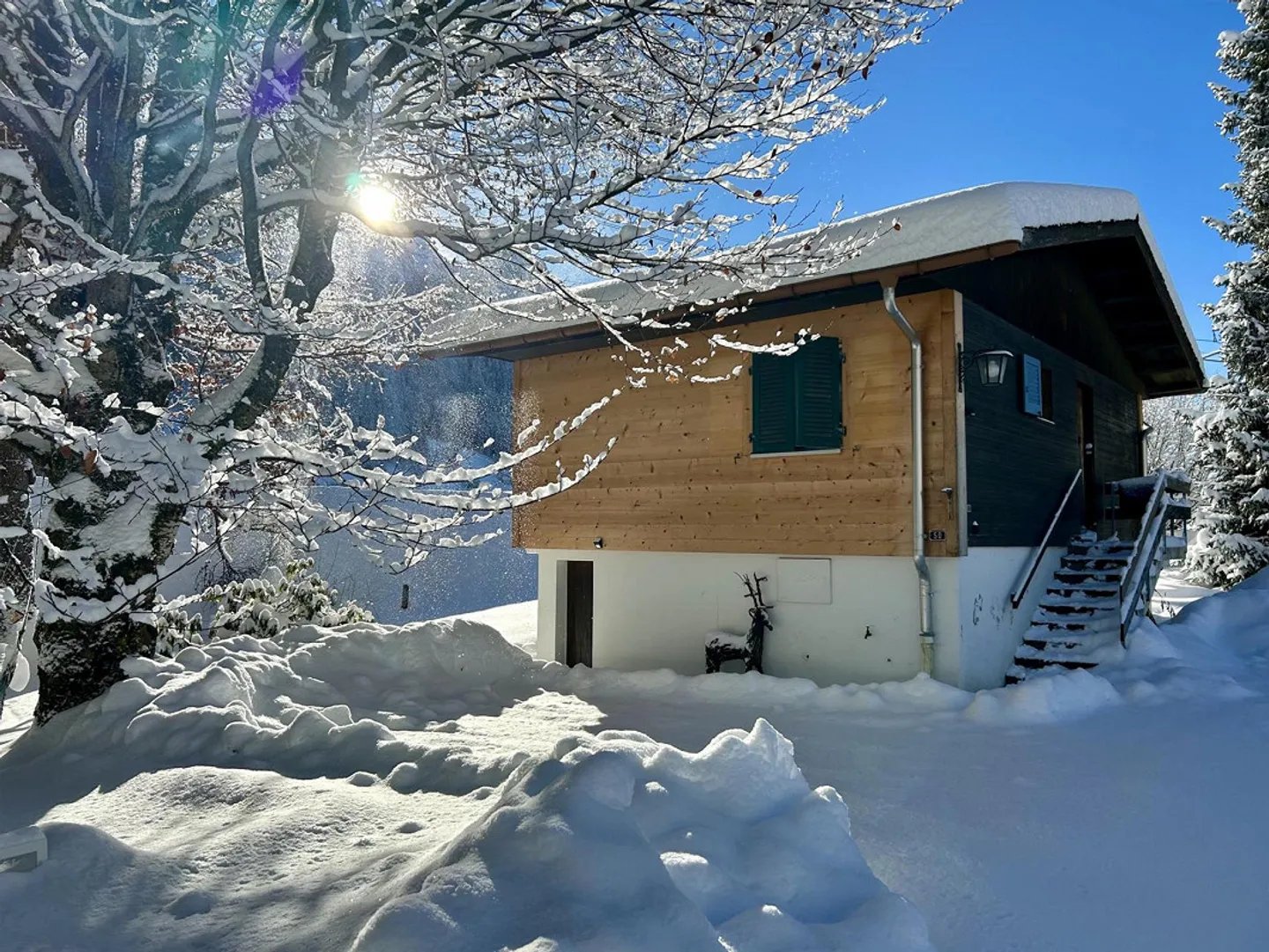 Gemütliches, freistehendes Zweitwohnsitz-Chalet im Dorf Rougemont - Foto 1 von 13