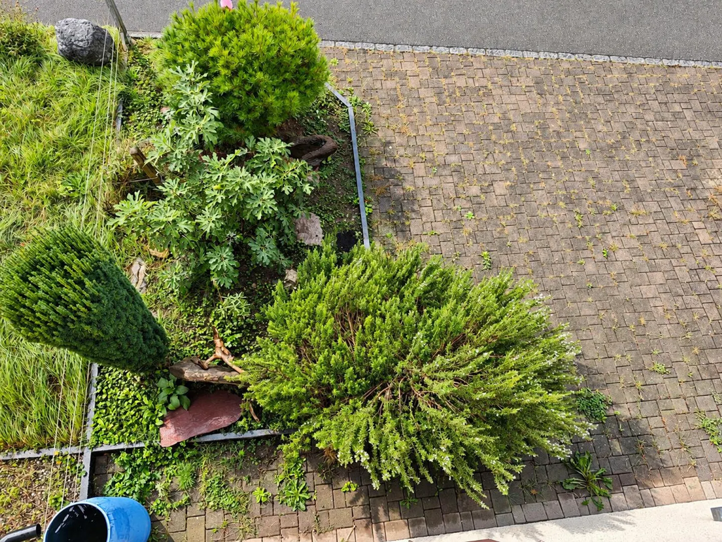 Maison 5½ pièces avec jardin et grand garage (Mels) - Photo 24 sur 30
