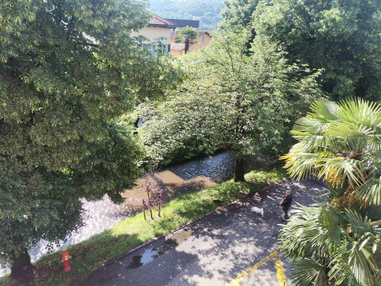 Charming Apartment in Agno - Photo 11 of 12