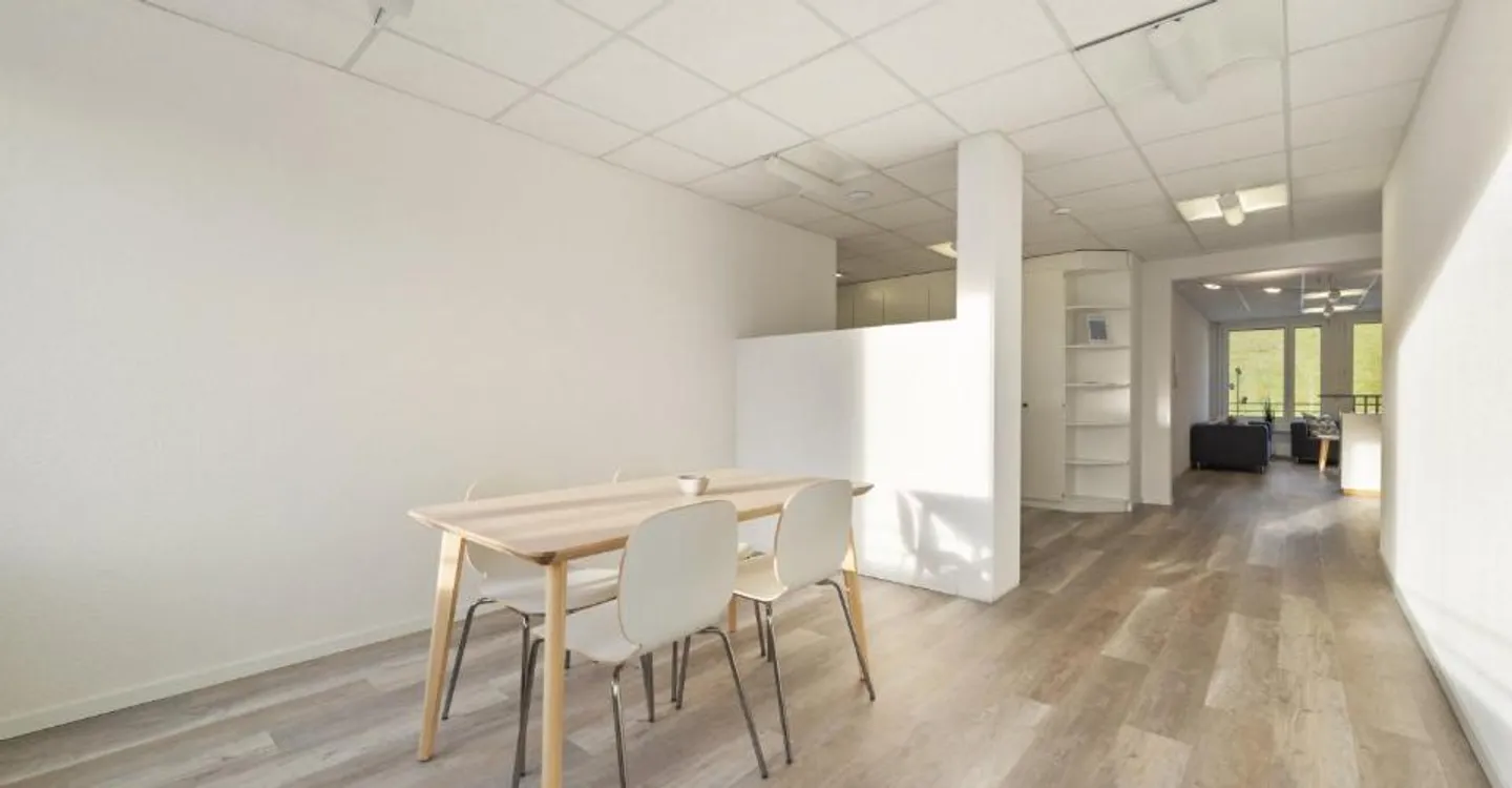 Realize Your Professional Dream - Business Center Willisau! - Photo 3 of 7