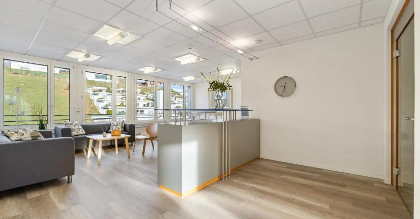 Realize Your Professional Dream - Business Center Willisau! - Photo 2 of 7