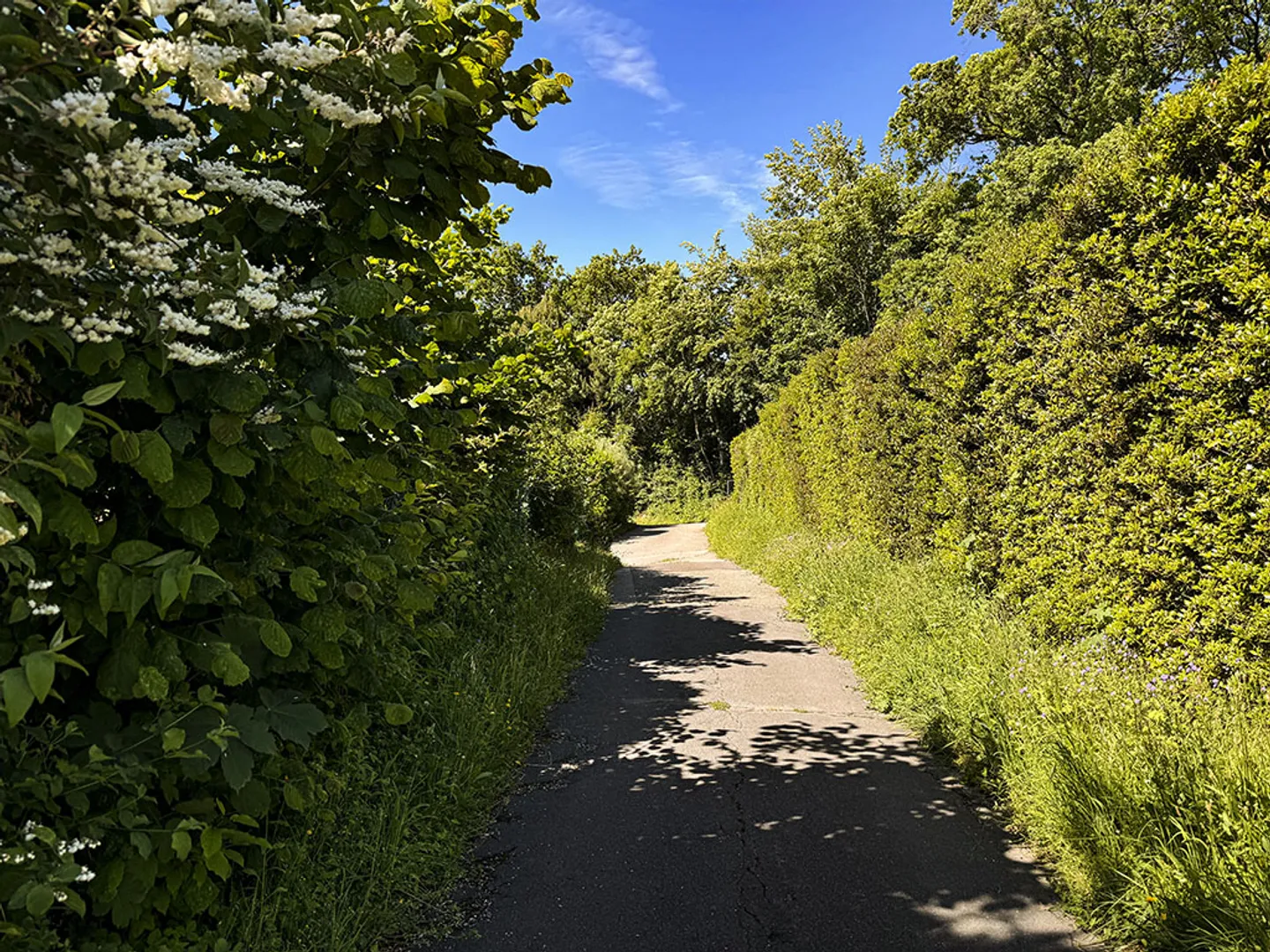 Villetta bifamiliare 5,5 locali - Foto 1 di 3