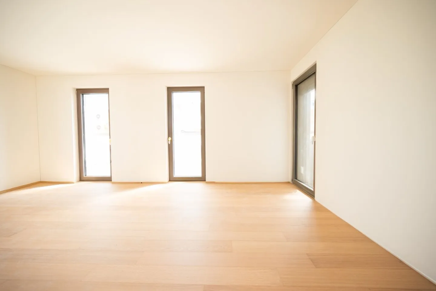 Palazzo Alby: ultimo 2.5 locali in prima locazione - Foto 4 di 8