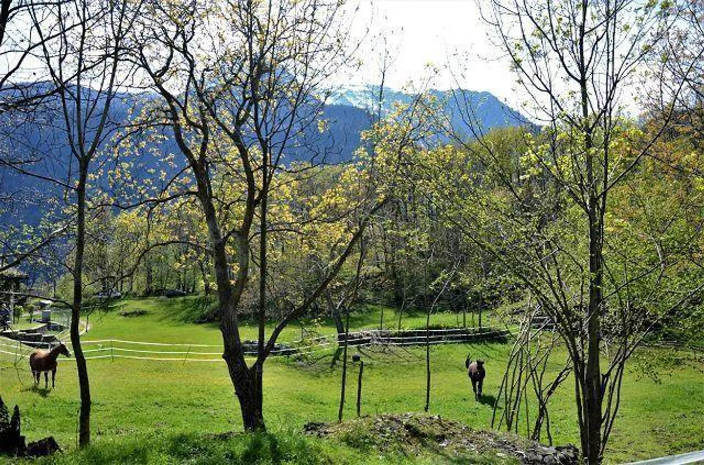 Sonniges Bauland in Leventina - Foto 3 von 18