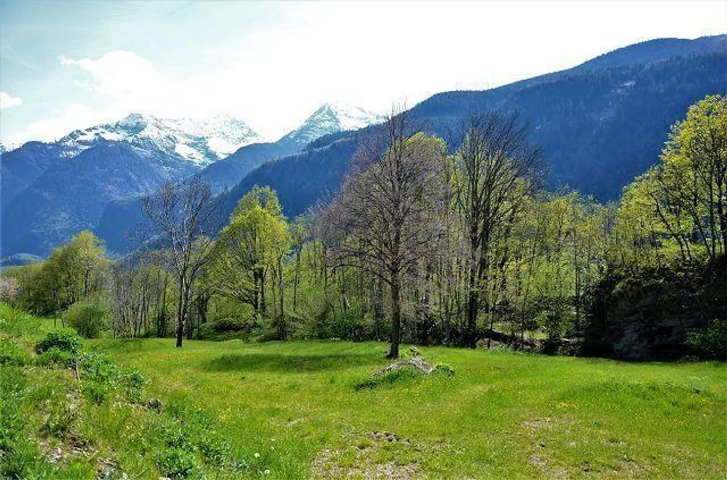 Sonniges Bauland in Leventina - Foto 14 von 18