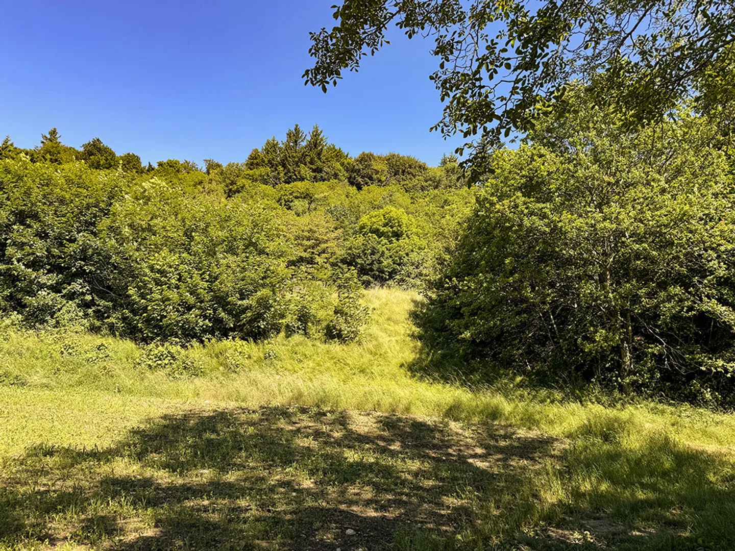 Villetta bifamiliare 5,5 locali - Foto 2 di 3