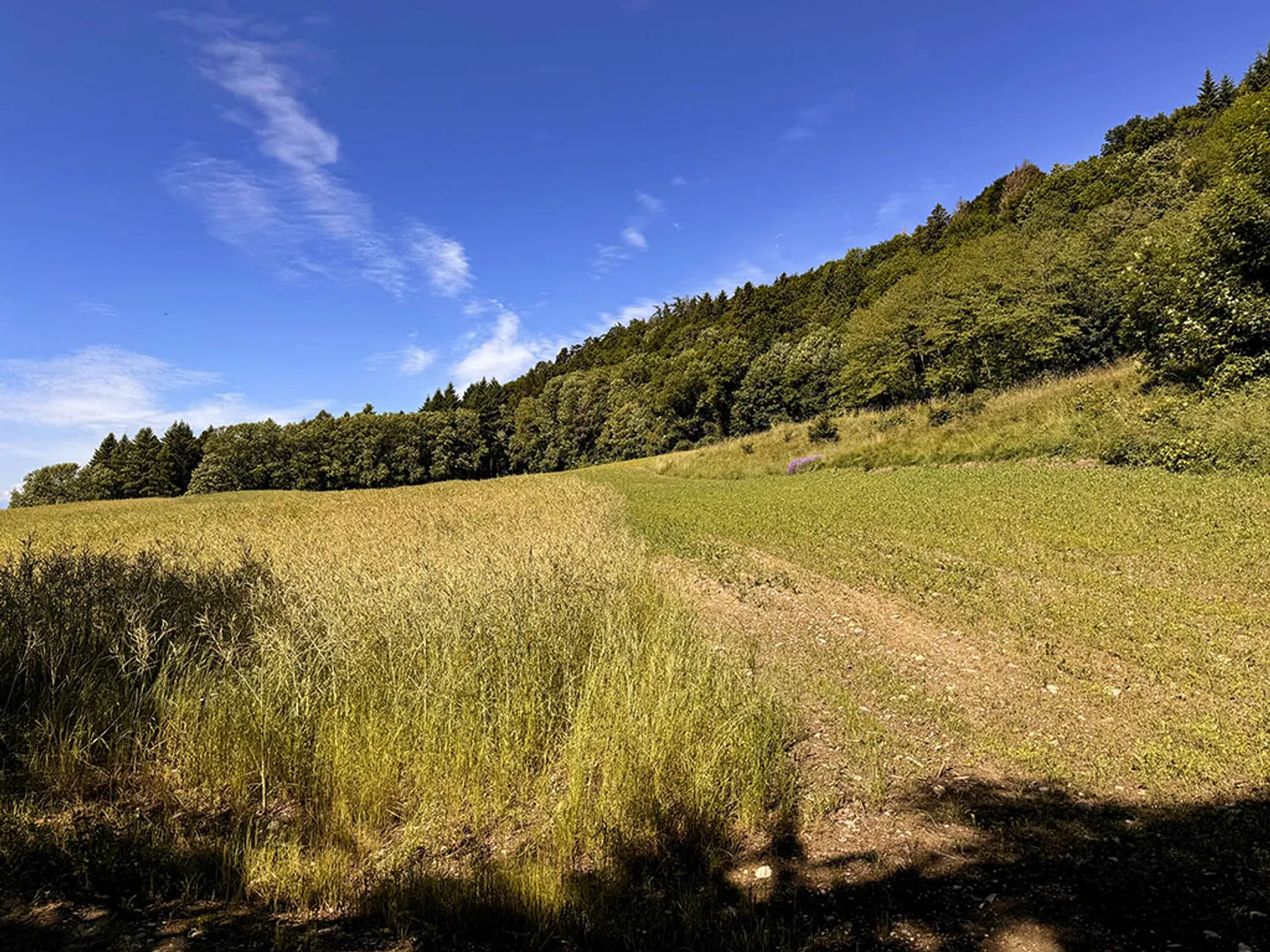 Villetta bifamiliare 5,5 locali - Foto 3 di 3