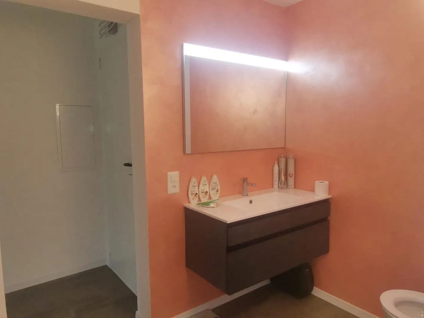 Appartement rénové au rez-de-chaussée - Photo 10 sur 13