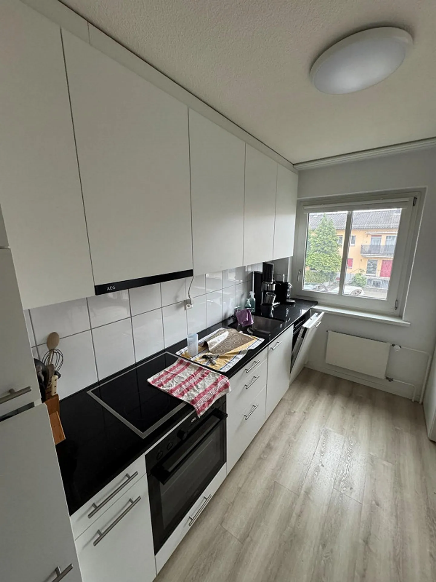 Verde, più verde, Schwamendingen - Foto 1 di 3