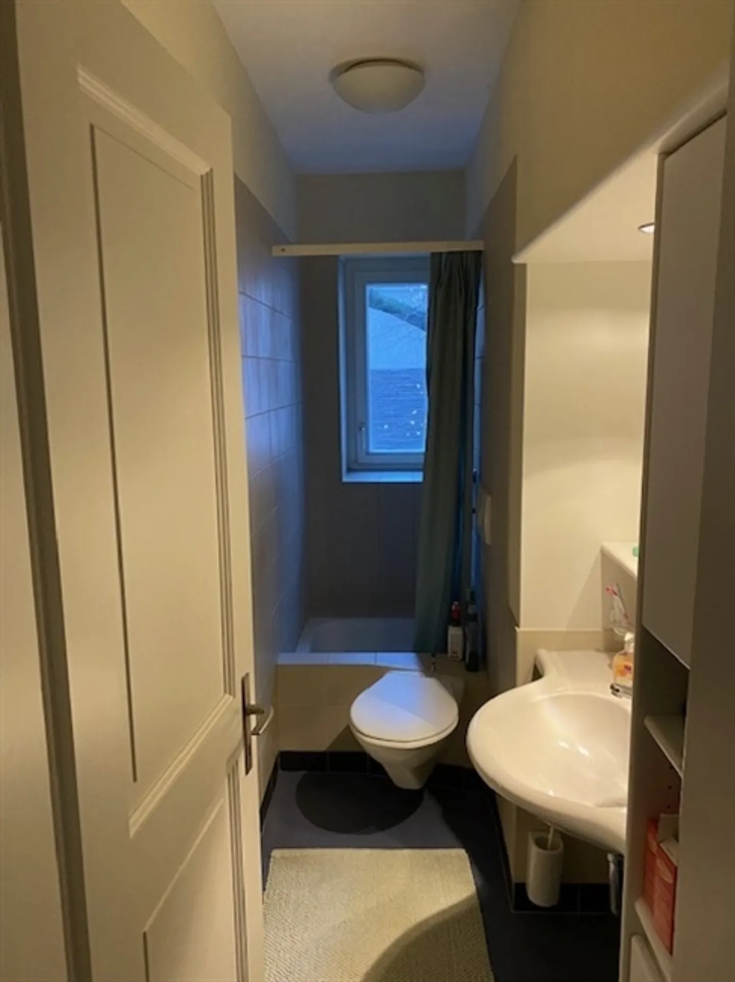 Appartement 3 pièces à Zurich - District 3 Wiedikon, meublé, temporaire - Photo 5 sur 6