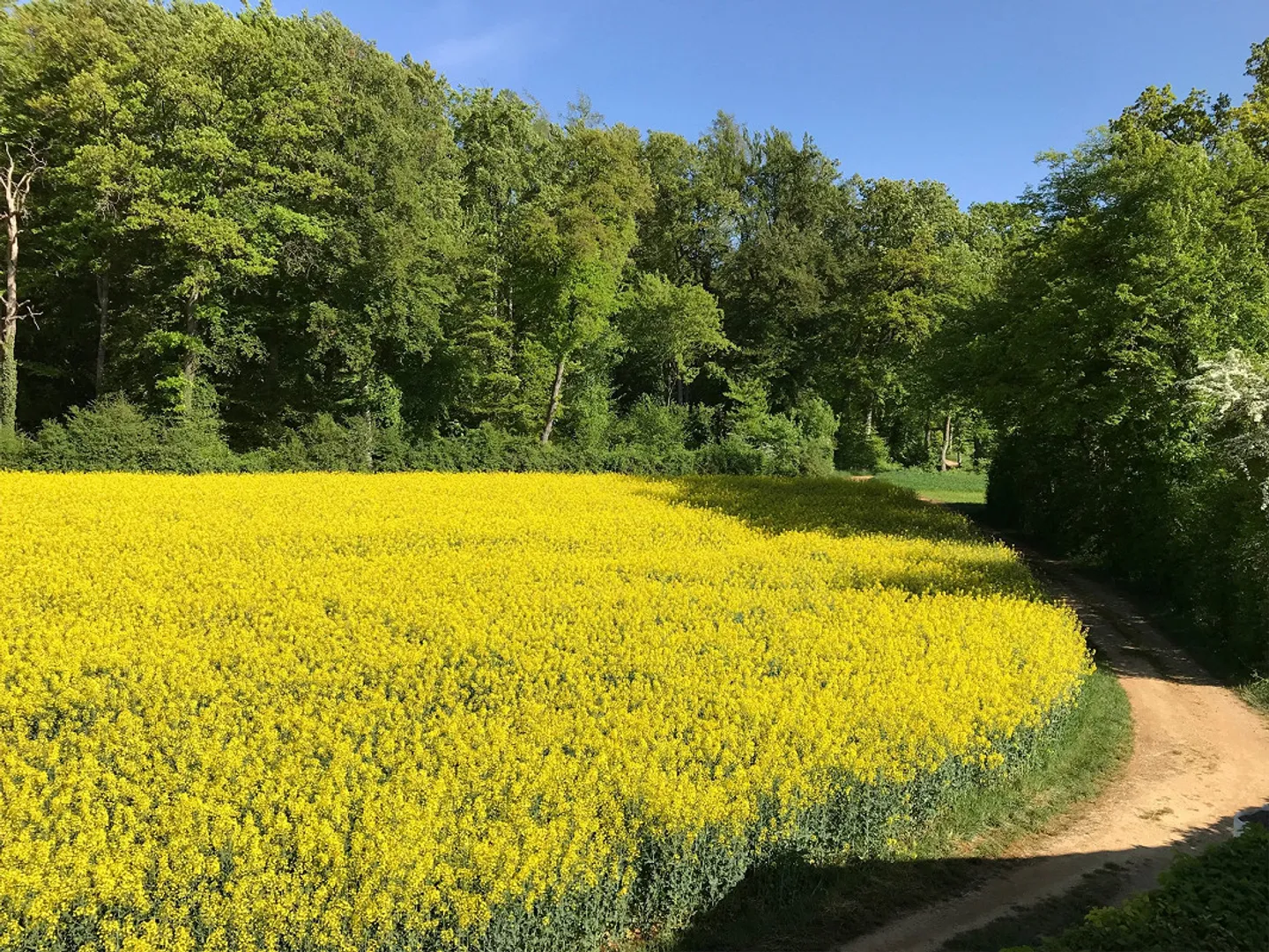 Incantevole casetta nel verde - Foto 15 di 15