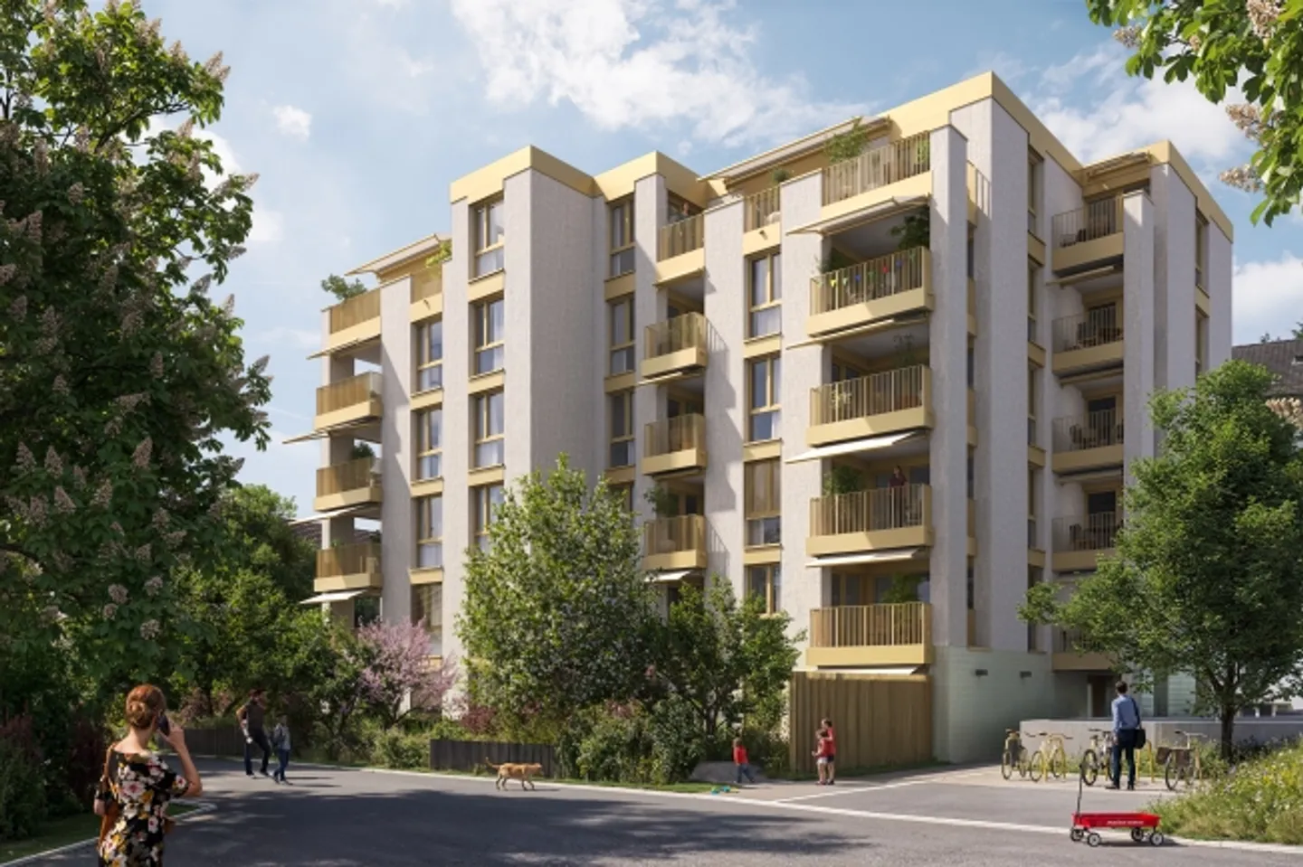 Appartamento in affitto - Foto 1 di 5