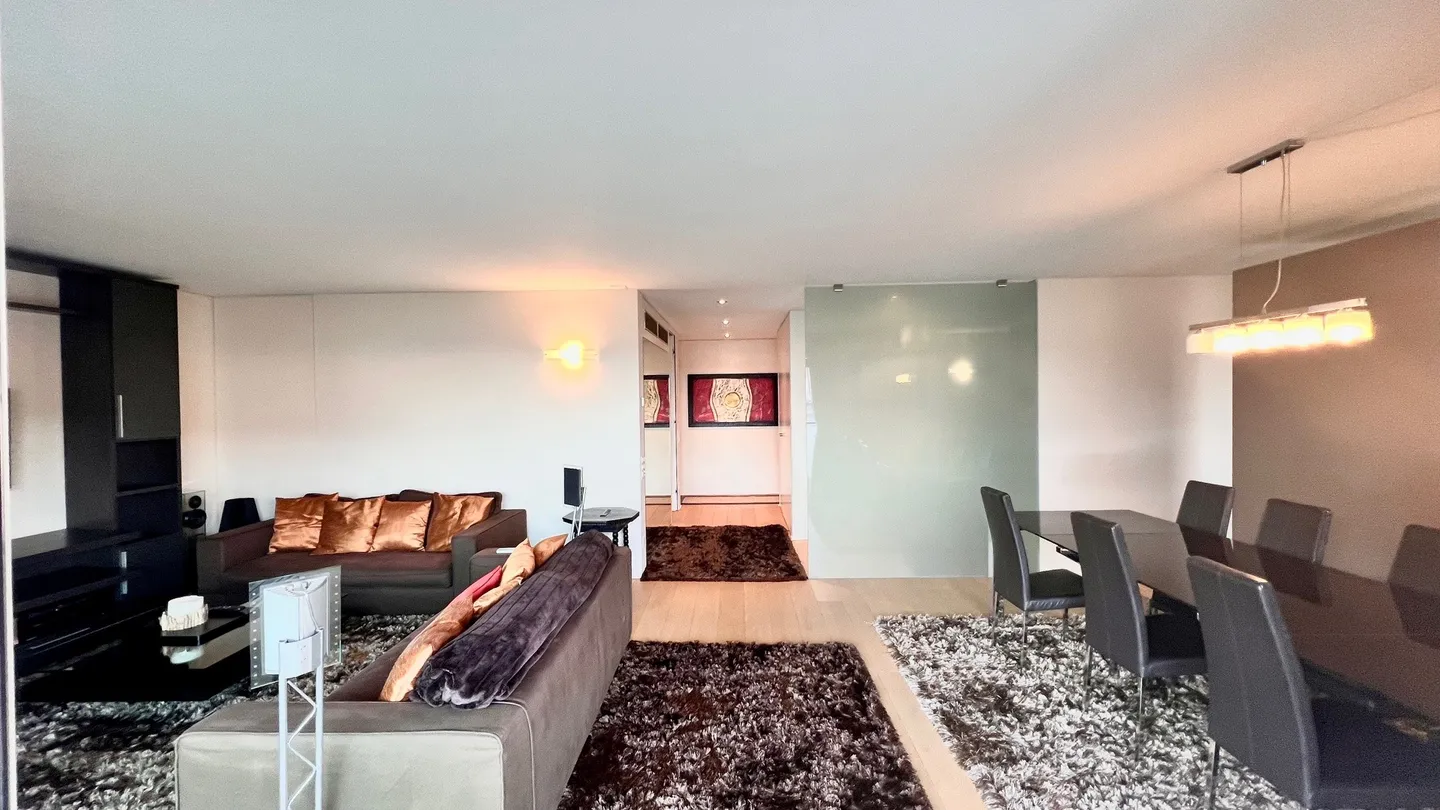 Appartement moderne à Paradiso - Photo 4 sur 16