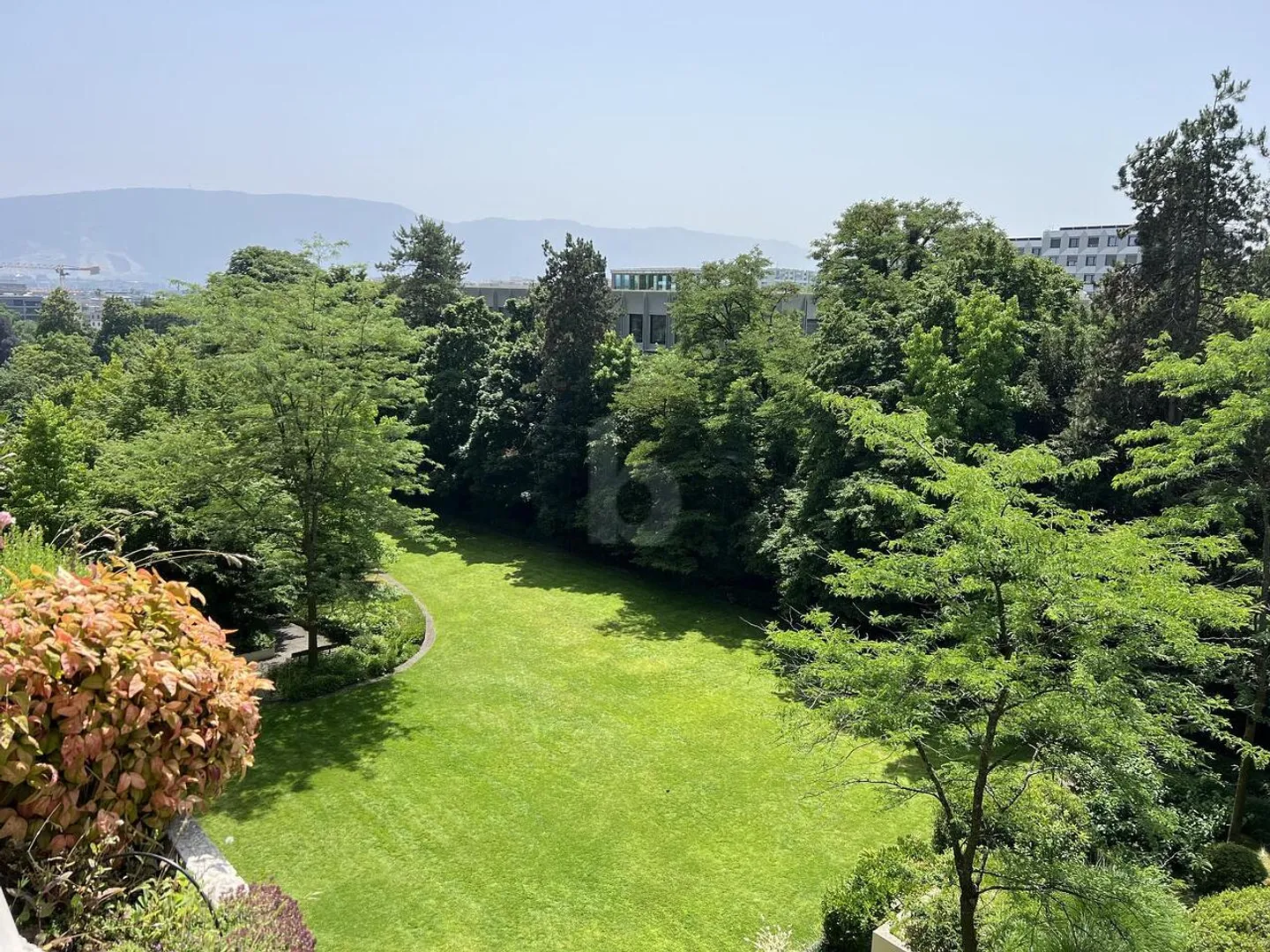 NEL CUORE DI UN PARCO VERDE SENZA AFFACCIO - Foto 5 di 6