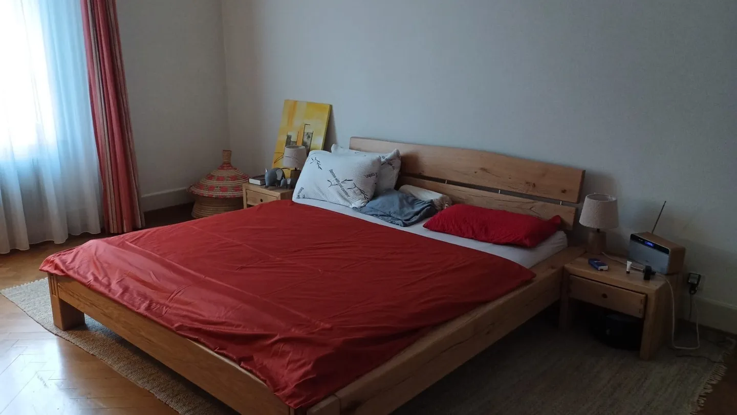 APPARTAMENTO 2 STANZE A BERN - OBSTBERG/SCHOSSHALDE, ARREDATO, TEMPORANEO - Foto 6 di 9