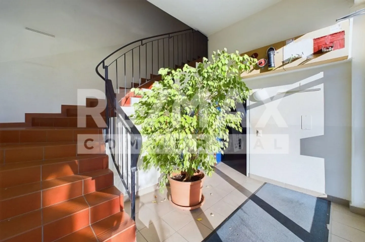 Apartment - Photo 8 of 13