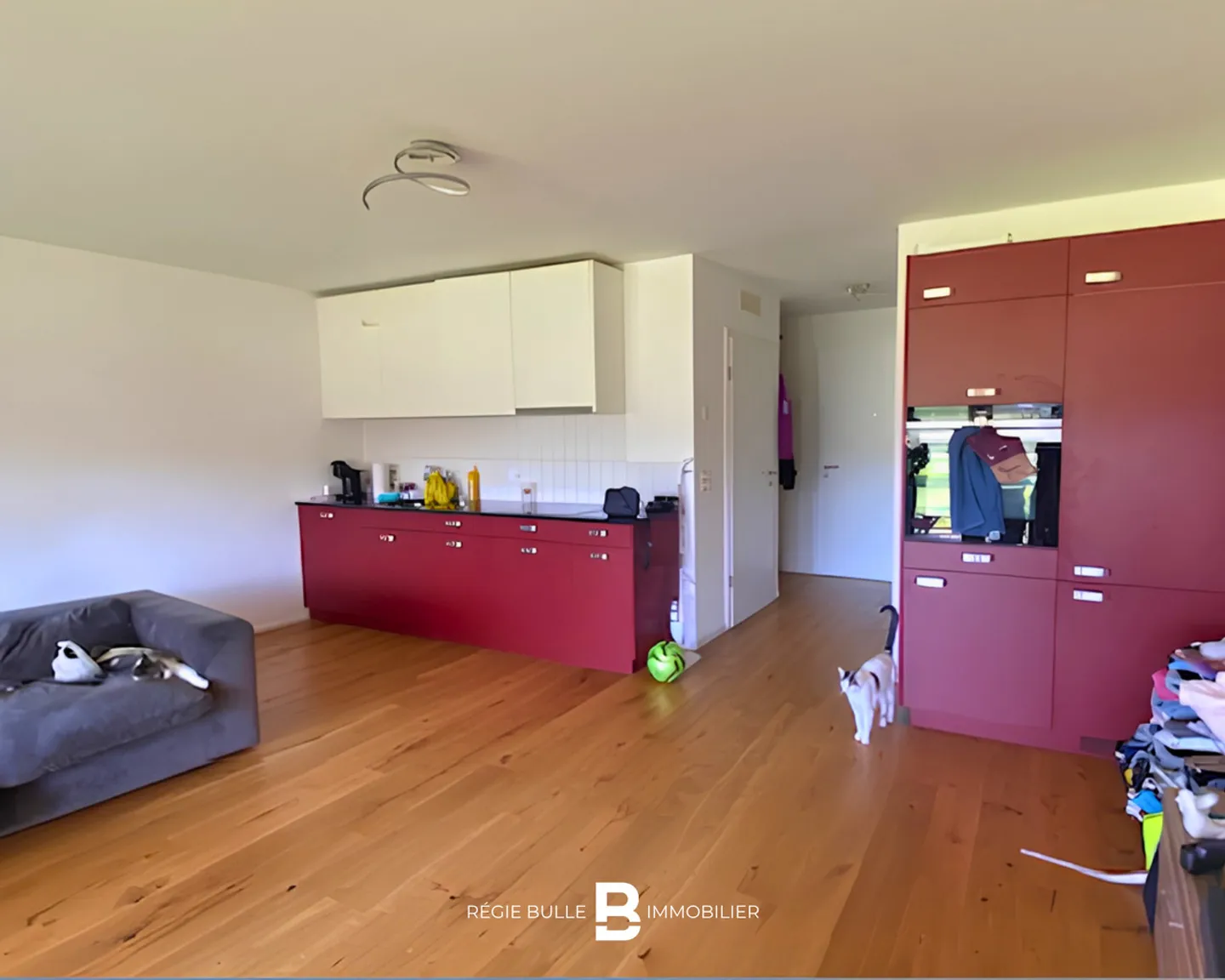 Riaz - Incantevole duplex di 3,5 stanze in affitto - Foto 3 di 5
