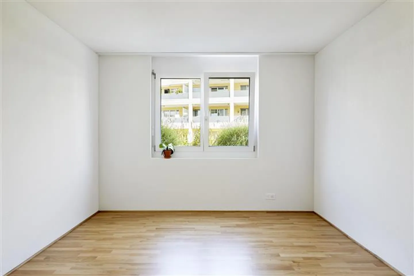 vie attrayant pour tout le monde! - Photo 7 sur 10