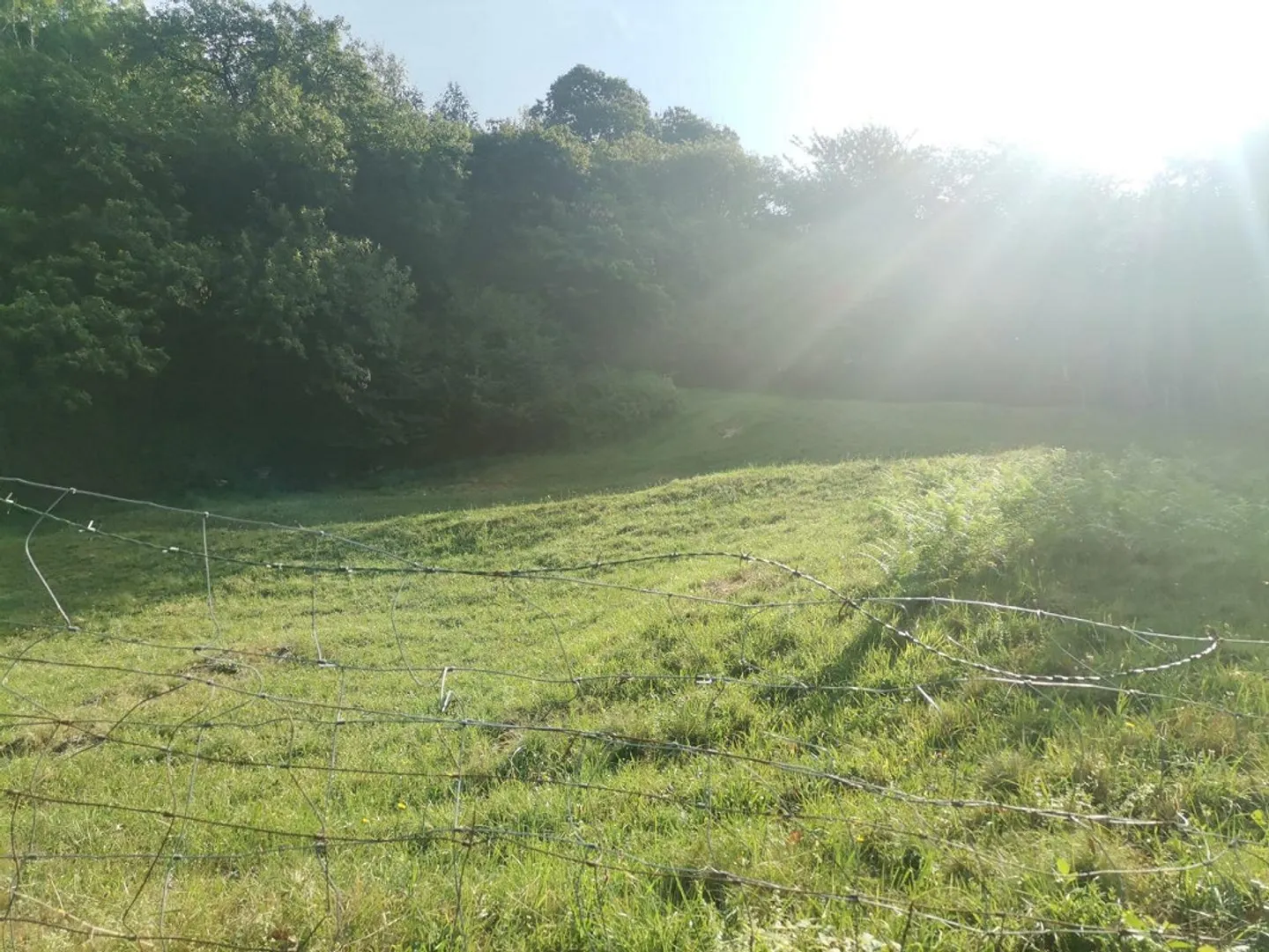 Building land zone R2 / Building plot zone R3 - Photo 4 of 8